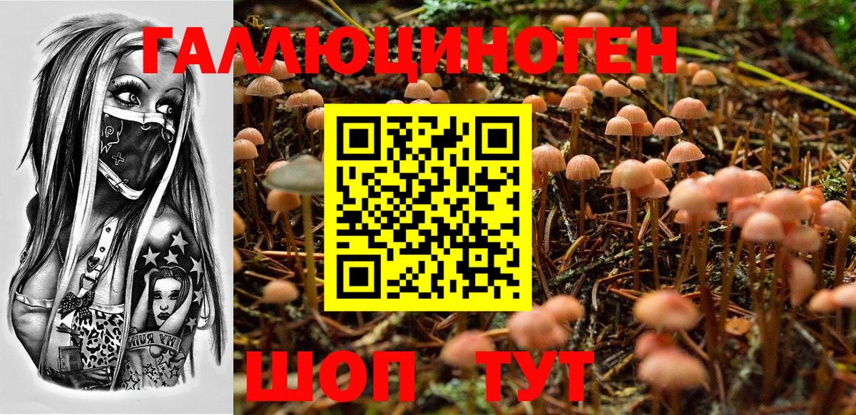 Псилоцибиновые грибы GOLDEN TEACHER  магазин  наркотиков  Протвино  Вход с VPN 